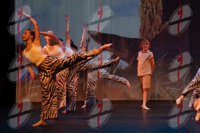 SHOW_00651.jpg